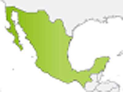 JAV ir Meksika IQ Routes™ Tomtom - GPS ŽEMĖLAPIAI PND / Tomtom